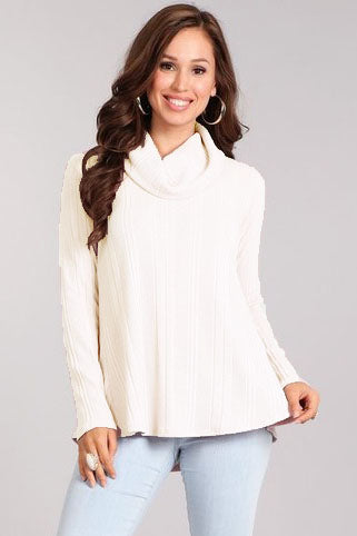 SOFT SOLID TEXTURED KNIT TURTLENECK TOP