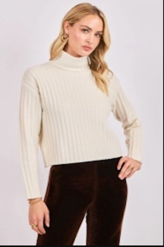 CHIC AND COZY COSETTE TURTLENECK RIB SWEATER